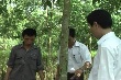 Công ty Cổ phần Cao su Mường Nhé trồng mới trên 92 ha cây cao su